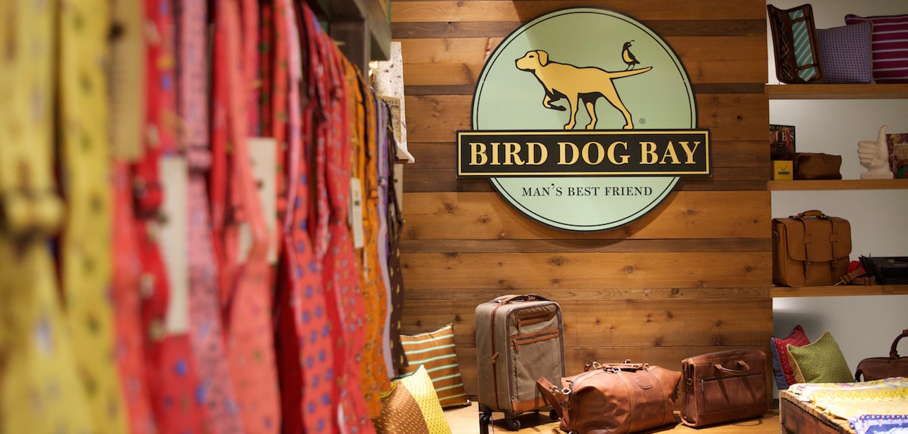 Bird 2025 dog store