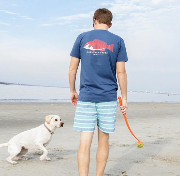 Pointer Surfer: Short Sleeve T-Shirt - Steel Blue