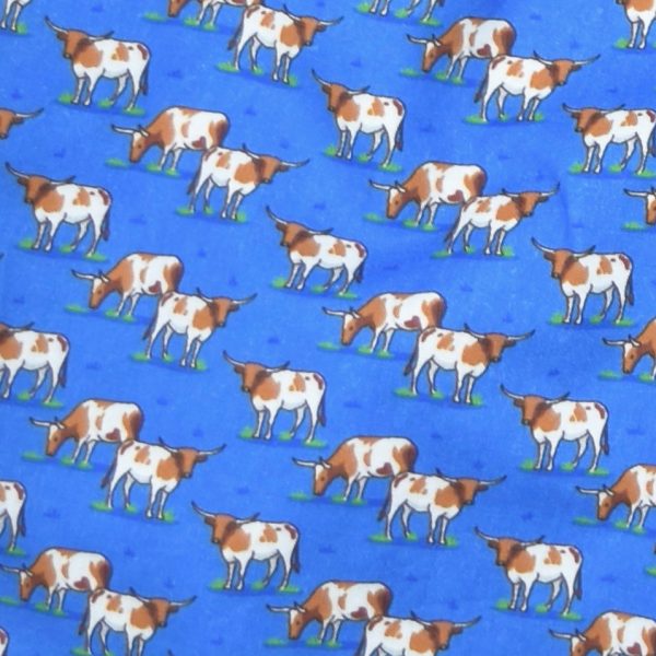 Longhorns: Boxers - Blue