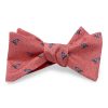 Snow Bird: Bow - Pink