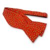 Snow: Bow - Red/Green